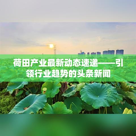 荷田产业最新动态速递——引领行业趋势的头条新闻