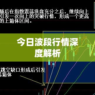 今日波段行情深度解析