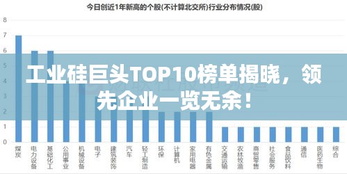 工业硅巨头TOP10榜单揭晓，领先企业一览无余！