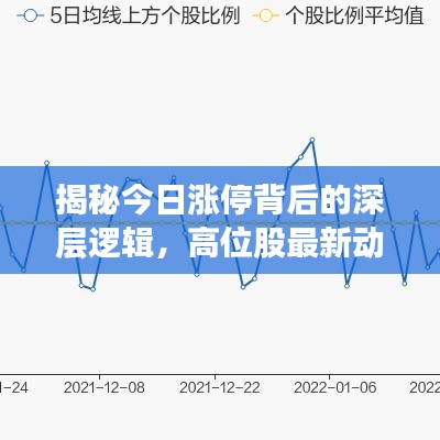 揭秘今日涨停背后的深层逻辑，高位股最新动态与市场深度解读