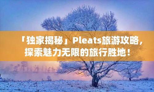 「独家揭秘」Pleats旅游攻略，探索魅力无限的旅行胜地！