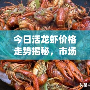 今日活龙虾价格走势揭秘，市场分析与影响因素探讨