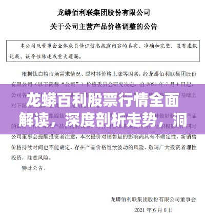 龙蟒百利股票行情全面解读，深度剖析走势，洞悉投资机遇