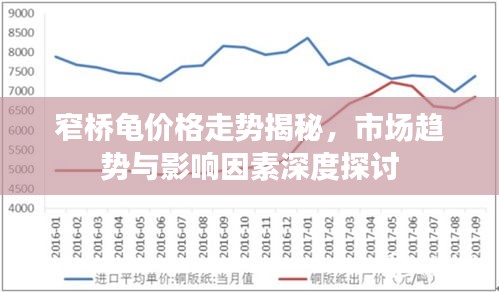 窄桥龟价格走势揭秘，市场趋势与影响因素深度探讨