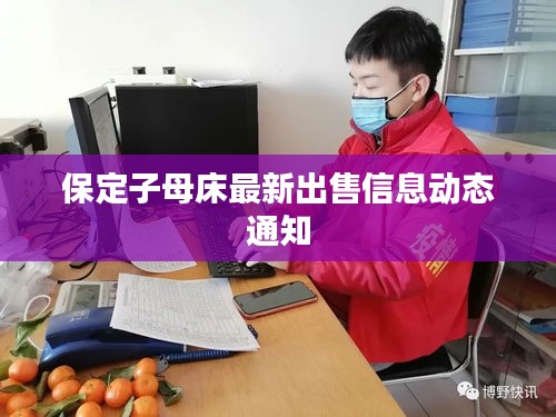 保定子母床最新出售信息动态通知