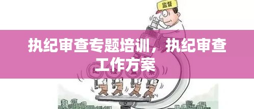 执纪审查专题培训，执纪审查工作方案 