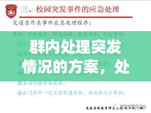 群内处理突发情况的方案，处置突发和群体性事件中应注意哪些问题 