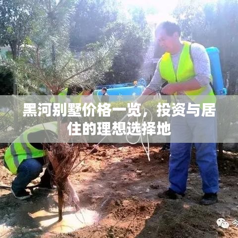 黑河别墅价格一览，投资与居住的理想选择地