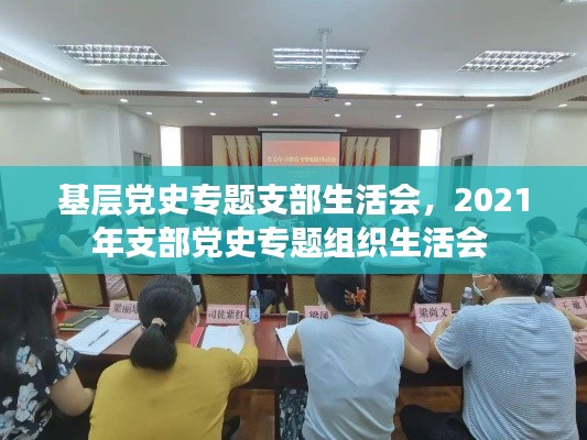 基层党史专题支部生活会，2021年支部党史专题组织生活会 