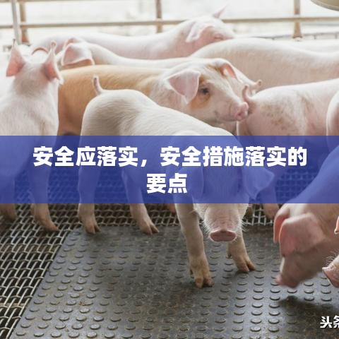 安全应落实，安全措施落实的要点 