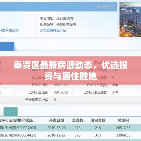 奉贤区最新房源动态，优选投资与居住胜地