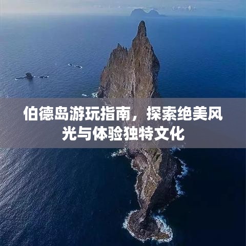 伯德岛游玩指南，探索绝美风光与体验独特文化