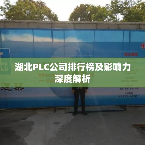 湖北PLC公司排行榜及影响力深度解析