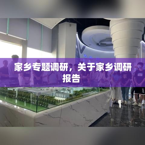 家乡专题调研，关于家乡调研报告 