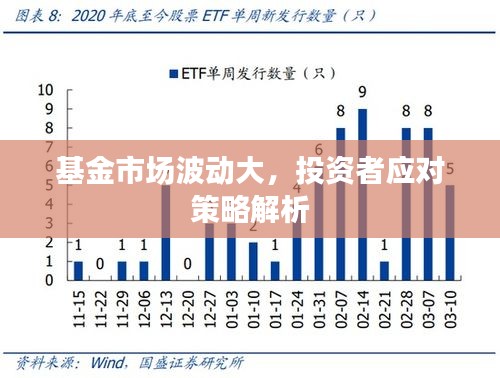 基金市场波动大，投资者应对策略解析