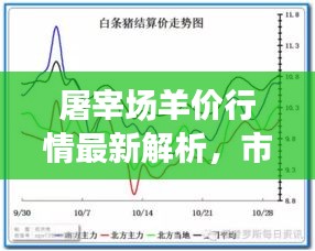 屠宰场羊价行情最新解析，市场走势、价格变动一网打尽！