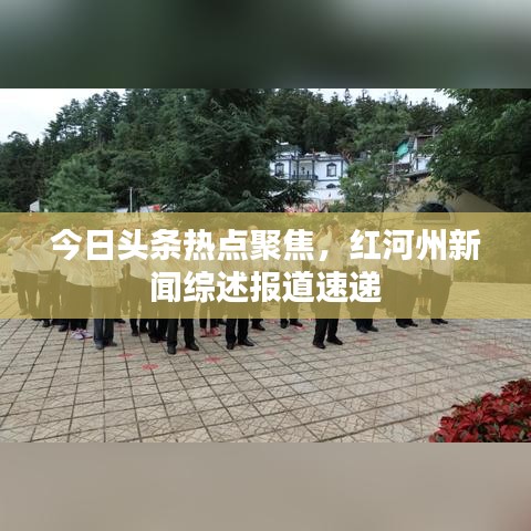 今日头条热点聚焦，红河州新闻综述报道速递