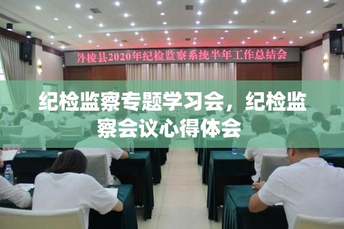 纪检监察专题学习会，纪检监察会议心得体会 