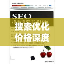 搜索优化价格深度解析，全方位探讨与优化策略