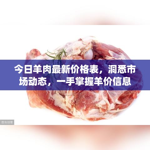 今日羊肉最新价格表，洞悉市场动态，一手掌握羊价信息