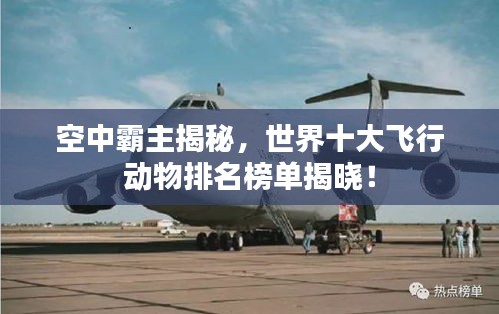 空中霸主揭秘，世界十大飞行动物排名榜单揭晓！